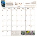 June Calendar Page