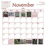 November Calendar Page